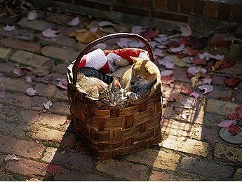 独立游戏《Oblivion Override湮灭线》将在6月14日发售